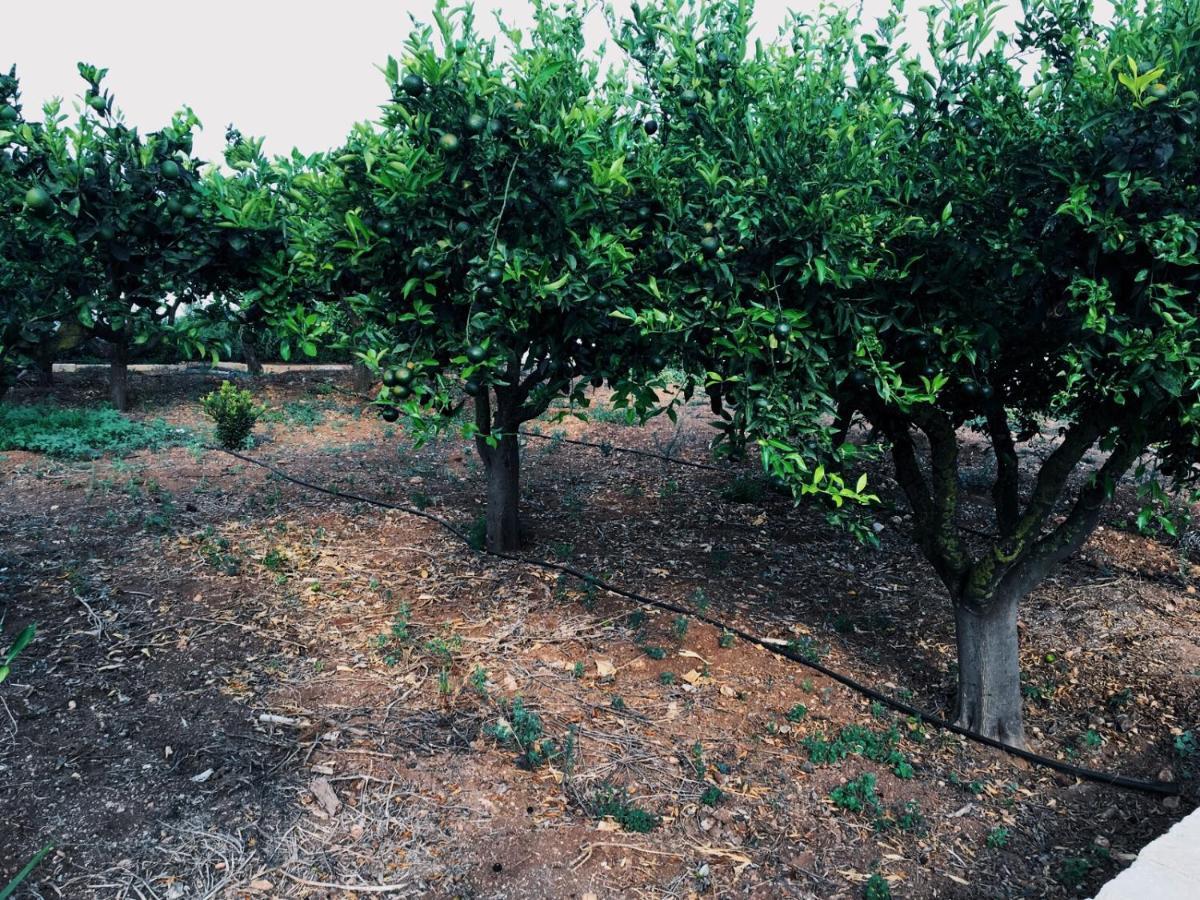 B&B Zagara Marsala Exterior photo